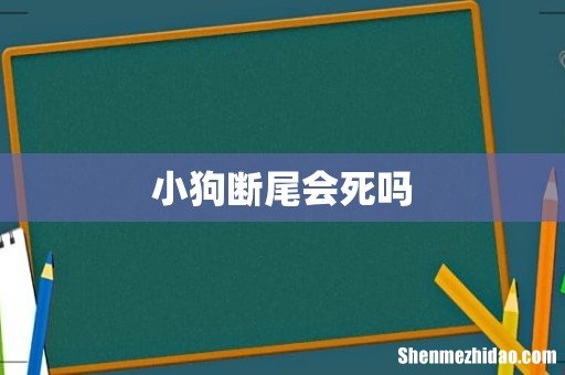 小狗断尾会死吗