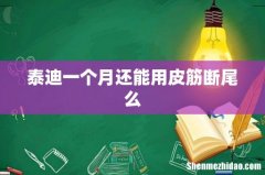 泰迪一个月还能用皮筋断尾么