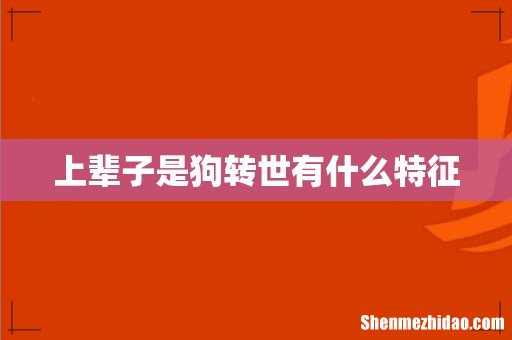 上辈子是狗转世有什么特征