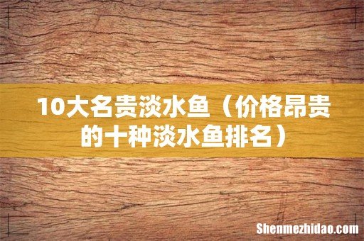 价格昂贵的十种淡水鱼排名 10大名贵淡水鱼