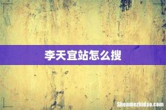 李天宜站怎么搜