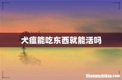 犬瘟能吃东西就能活吗