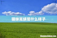 猫咪耳螨是什么样子