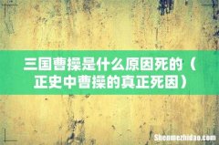 正史中曹操的真正死因 三国曹操是什么原因死的