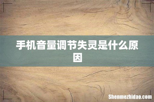 手机音量调节失灵是什么原因
