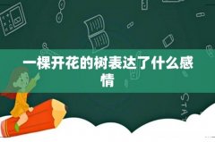 一棵开花的树表达了什么感情