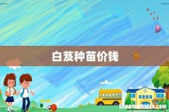 白芨种苗价钱