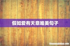 假如爱有天意唯美句子