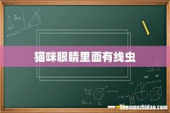 猫咪眼睛里面有线虫