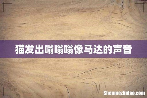 猫发出嗡嗡嗡像马达的声音