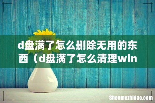 d盘满了怎么删除无用的东西（d盘满了怎么清理win10)
