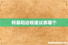柯基和边牧建议养哪个