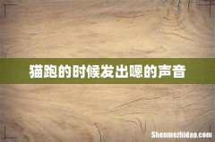 猫跑的时候发出嗯的声音