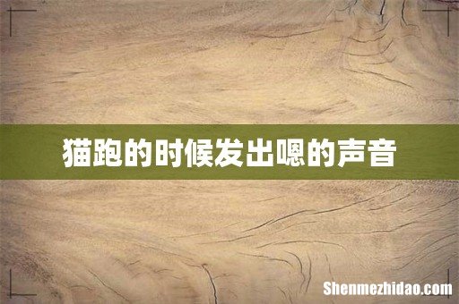 猫跑的时候发出嗯的声音