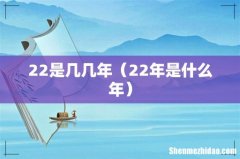22年是什么年 22是几几年