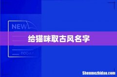 给猫咪取古风名字