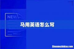 马用英语怎么写