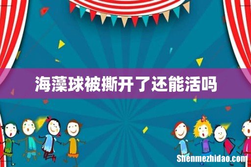 海藻球被撕开了还能活吗
