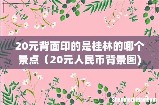 20元背面印的是桂林的哪个景点(20元人民币背景图)