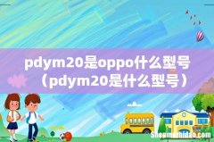 pdym20是什么型号 pdym20是oppo什么型号