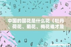 牡丹、荷花、菊花、梅花谁才是国花 中国的国花是什么花