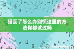 猫丢了怎么办别慌这里的方法你都试过吗