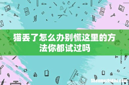 猫丢了怎么办别慌这里的方法你都试过吗