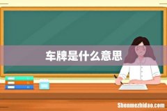 车牌是什么意思