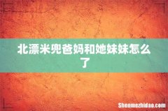 北漂米兜爸妈和她妹妹怎么了