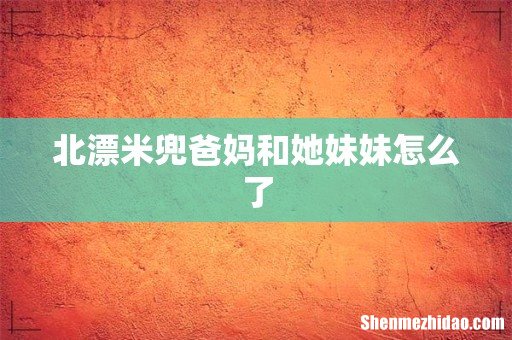 北漂米兜爸妈和她妹妹怎么了