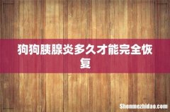 狗狗胰腺炎多久才能完全恢复