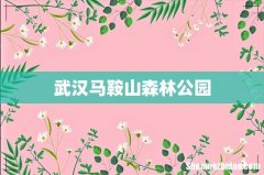 武汉马鞍山森林公园