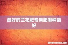 最好的兰花肥专用肥哪种最好