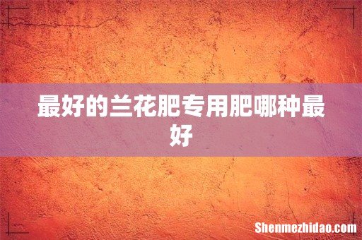 最好的兰花肥专用肥哪种最好