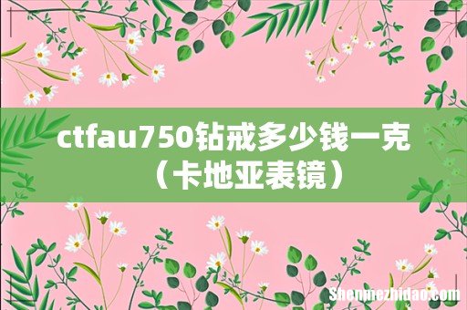 卡地亚表镜 ctfau750钻戒多少钱一克