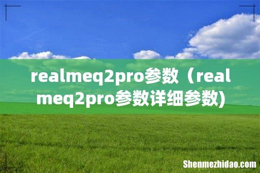realmeq2pro参数(realmeq2pro参数详细参数)