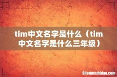 tim中文名字是什么三年级 tim中文名字是什么