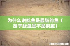 胡子鲶鱼是不是很脏 为什么说鲶鱼是最脏的鱼