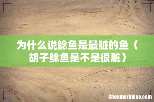 胡子鲶鱼是不是很脏 为什么说鲶鱼是最脏的鱼