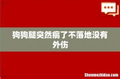 狗狗腿突然瘸了不落地没有外伤