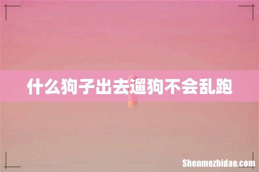 什么狗子出去遛狗不会乱跑