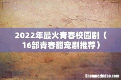 16部青春甜宠剧推荐 2022年最火青春校园剧