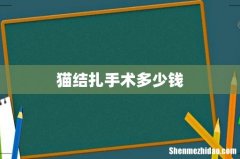 猫结扎手术多少钱