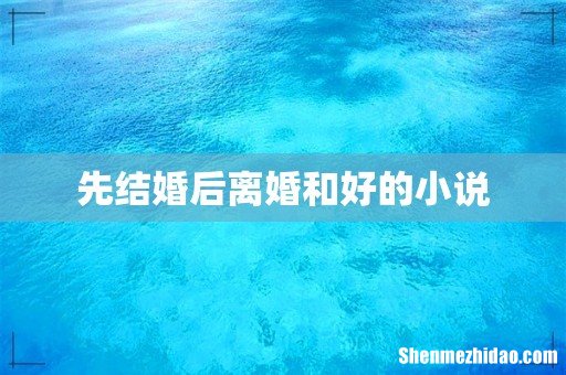 先结婚后离婚和好的小说