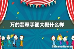 万的翡翠手镯大概什么样