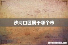 沙河口区属于哪个市
