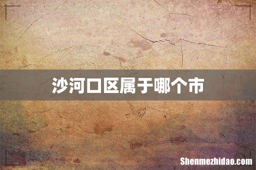 沙河口区属于哪个市