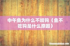 鱼不吃钩是什么原因 中午鱼为什么不咬钩