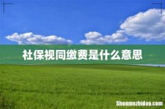 社保视同缴费是什么意思