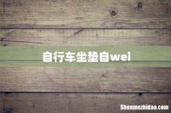 自行车坐垫自wei